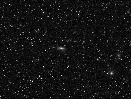 NGC1023, IC239, 2016-12-3, 14x100sec, APO100Q, ASI1600MM-Cool.jpg